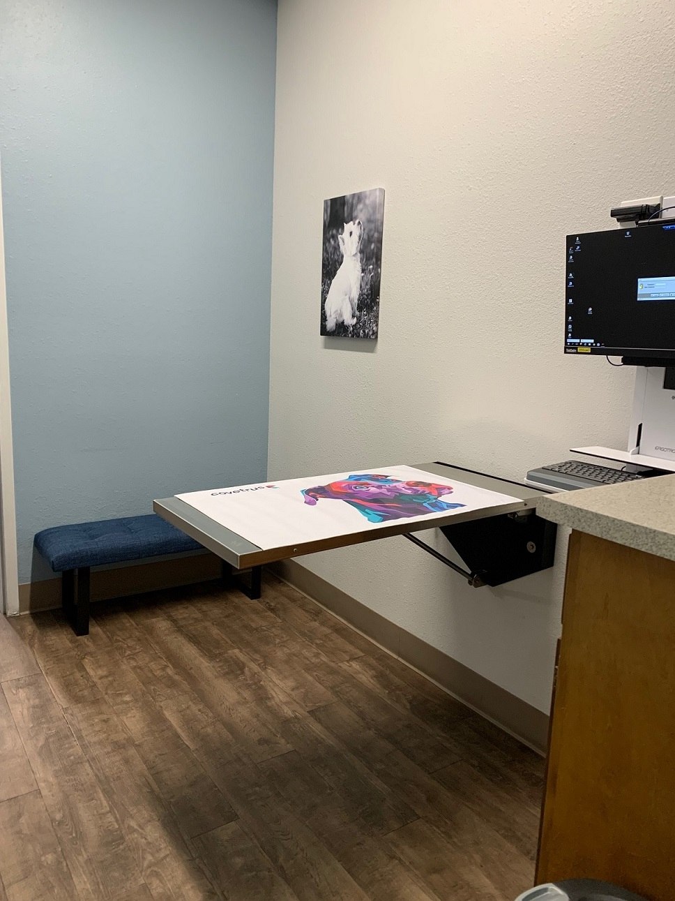 Exam room at All Creatures Animal Clinic