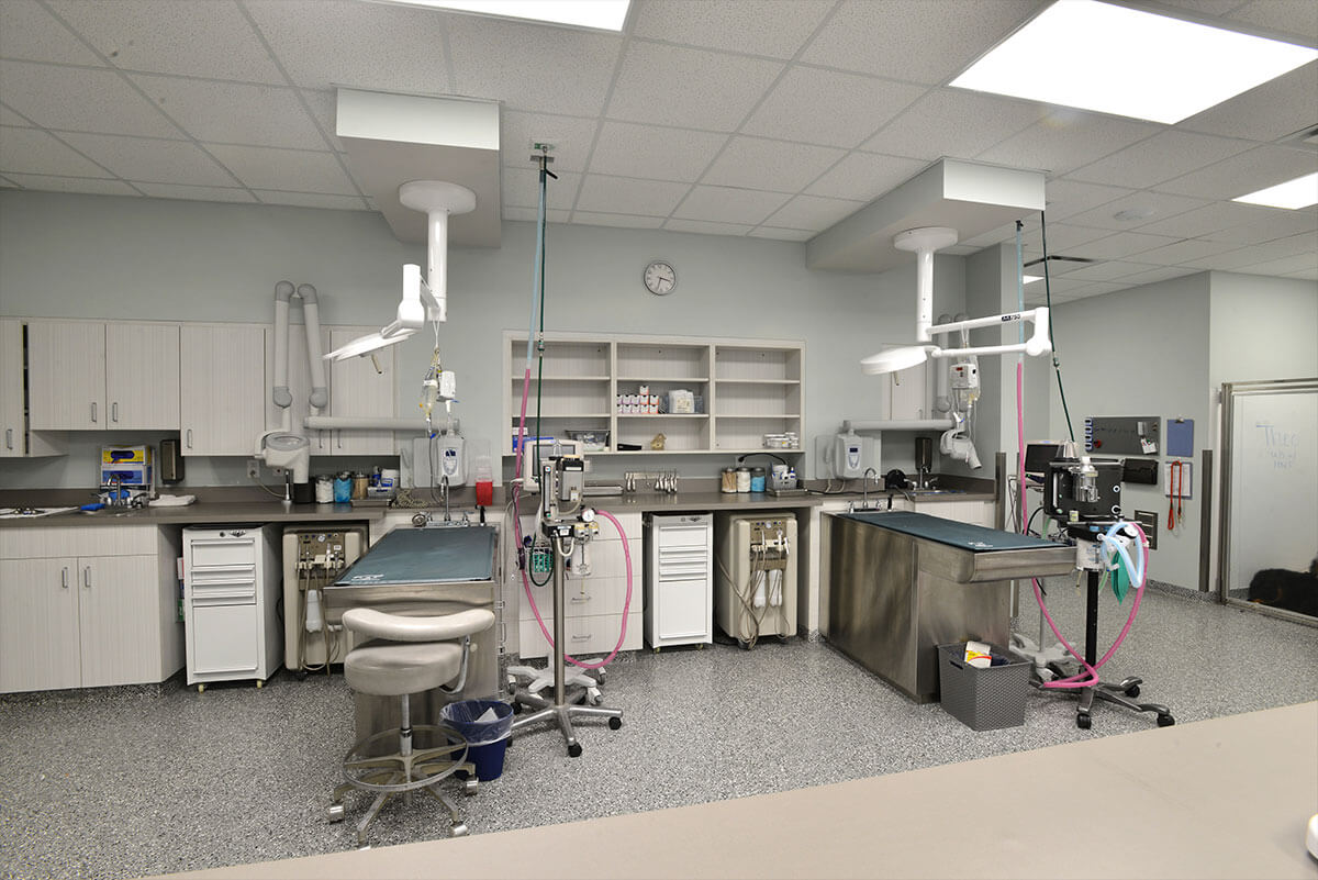 Dental Treatment Stations