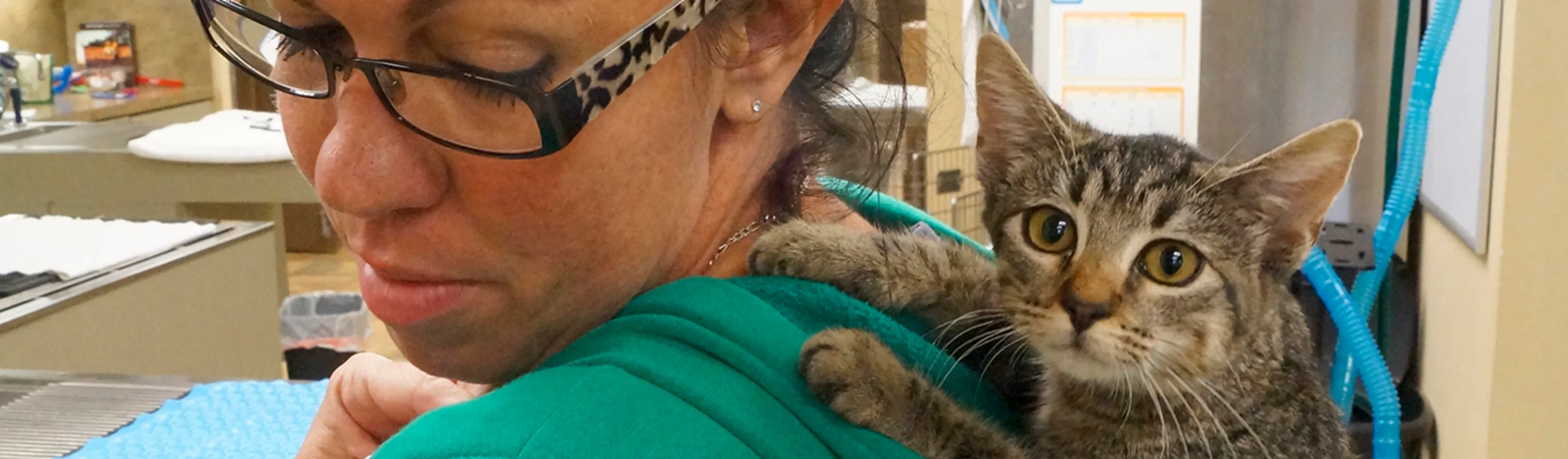 Roanoke AH staff with cat in their hood Roanoke AH staff with cat in their hood