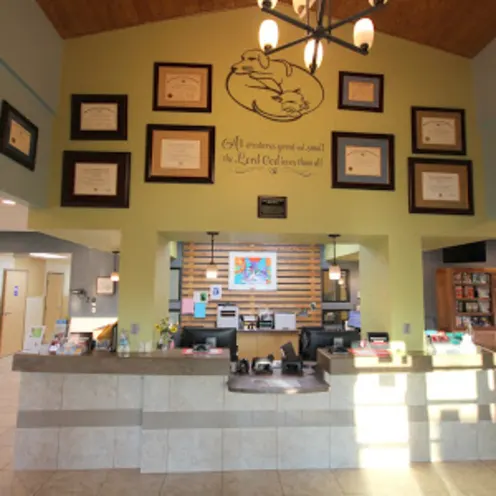 Receptionist Area Receptionist Area