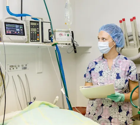 East Springs Animal Hospital staff looking at a monitor.