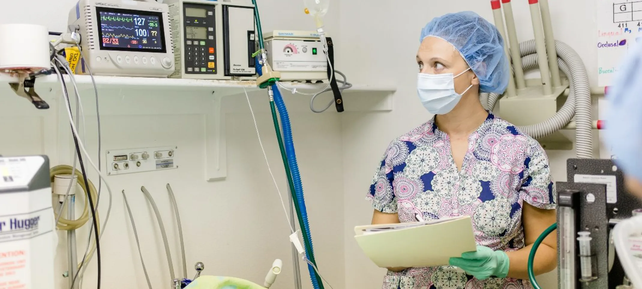 East Springs Animal Hospital staff looking at a monitor.