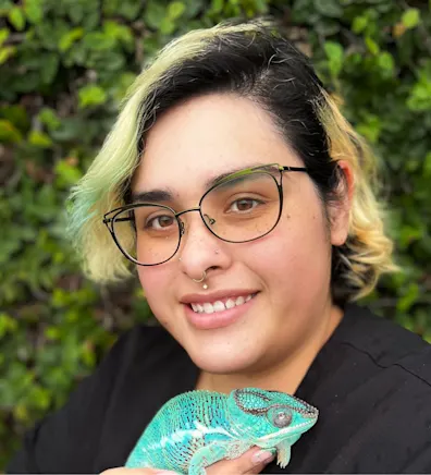 Laura Insixiengmay Laura Insixiengmay