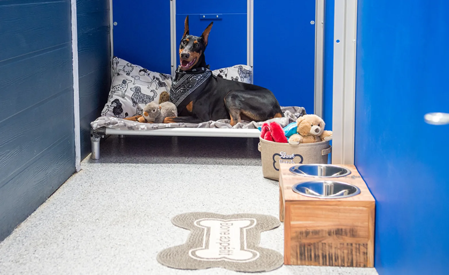 Dog Hotel/Boarding at K9s Only outside laying down Dog Hotel/Boarding at K9s Only outside laying down