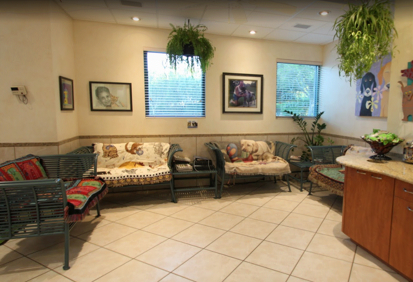 Hometown Animal Hospital - Waiting Room - Angle 2
