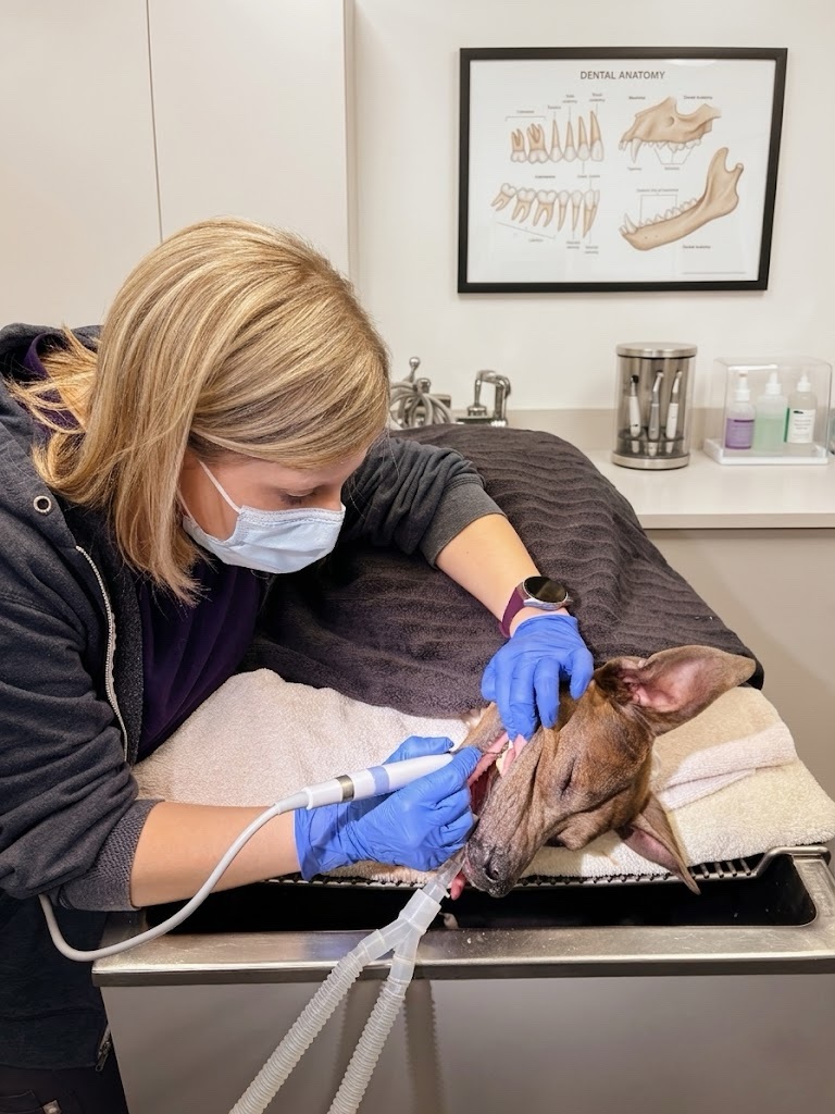 Dental procedure
