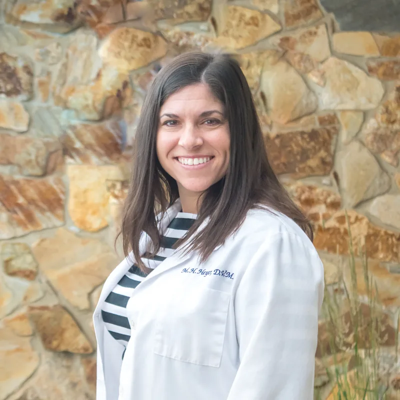 Dr. Michelle Heyer at Animal Care Clinic West & Metro Cat Hospital Dr. Michelle Heyer at Animal Care Clinic West & Metro Cat Hospital