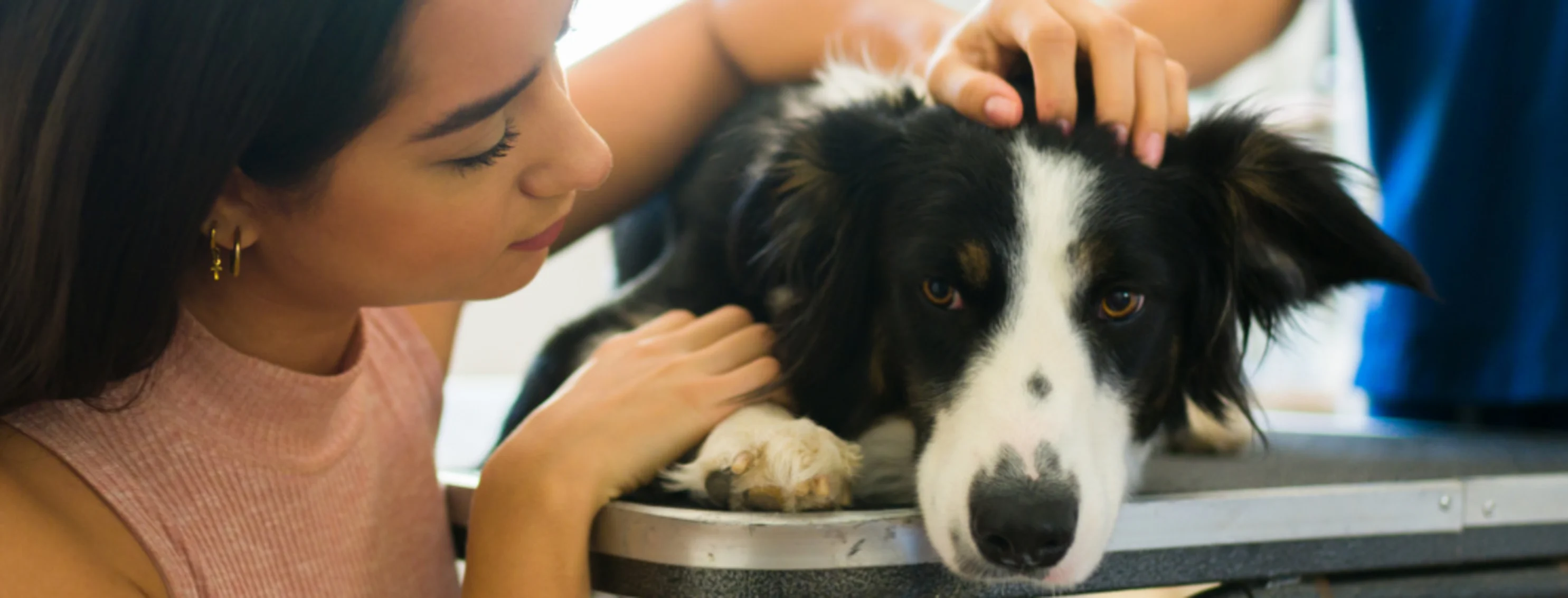 A woman petting a dog. A woman petting a dog.