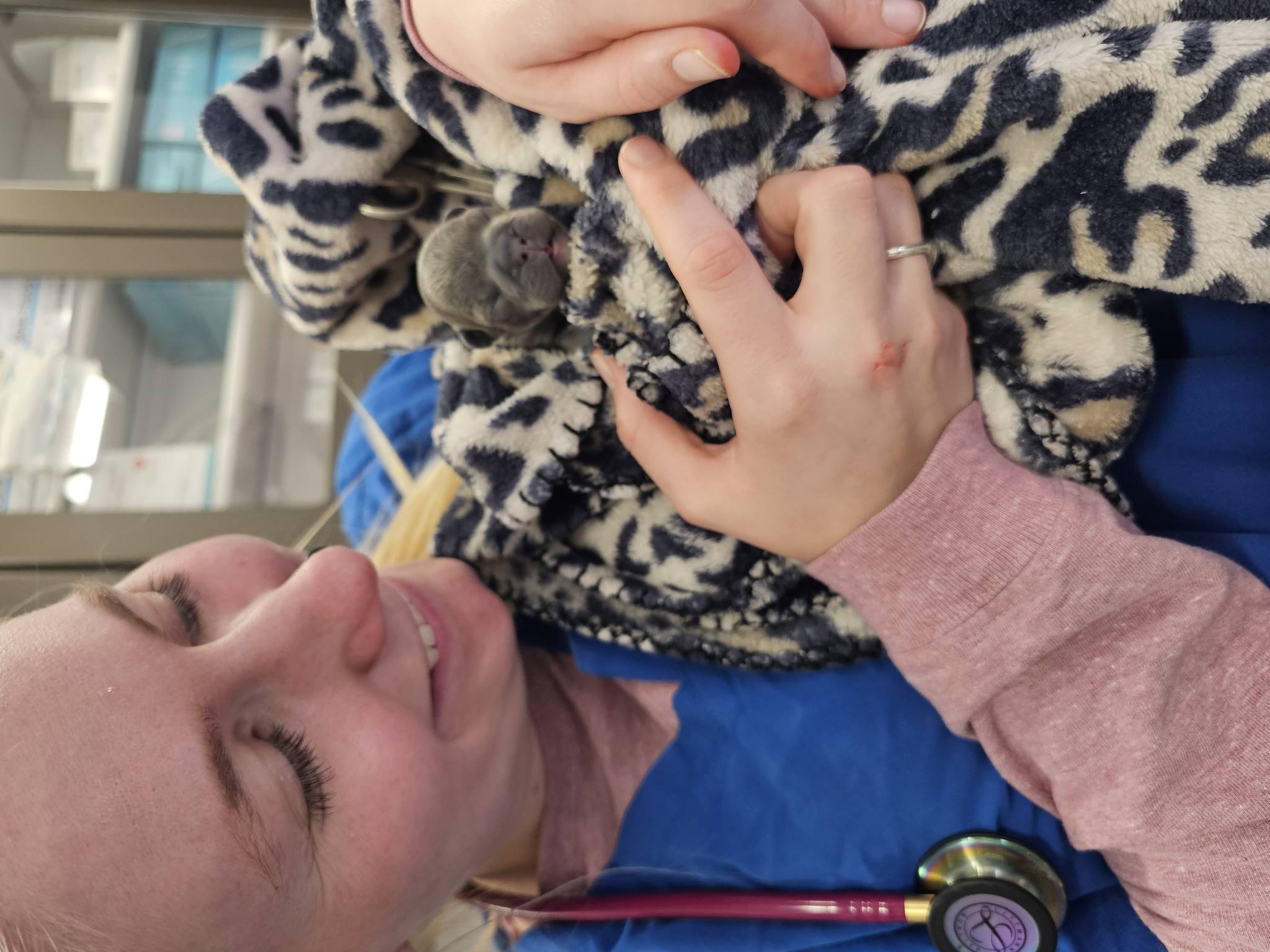 Veterinarian Holding a Newborn Puppy at Kodiak Veterinary Clinic