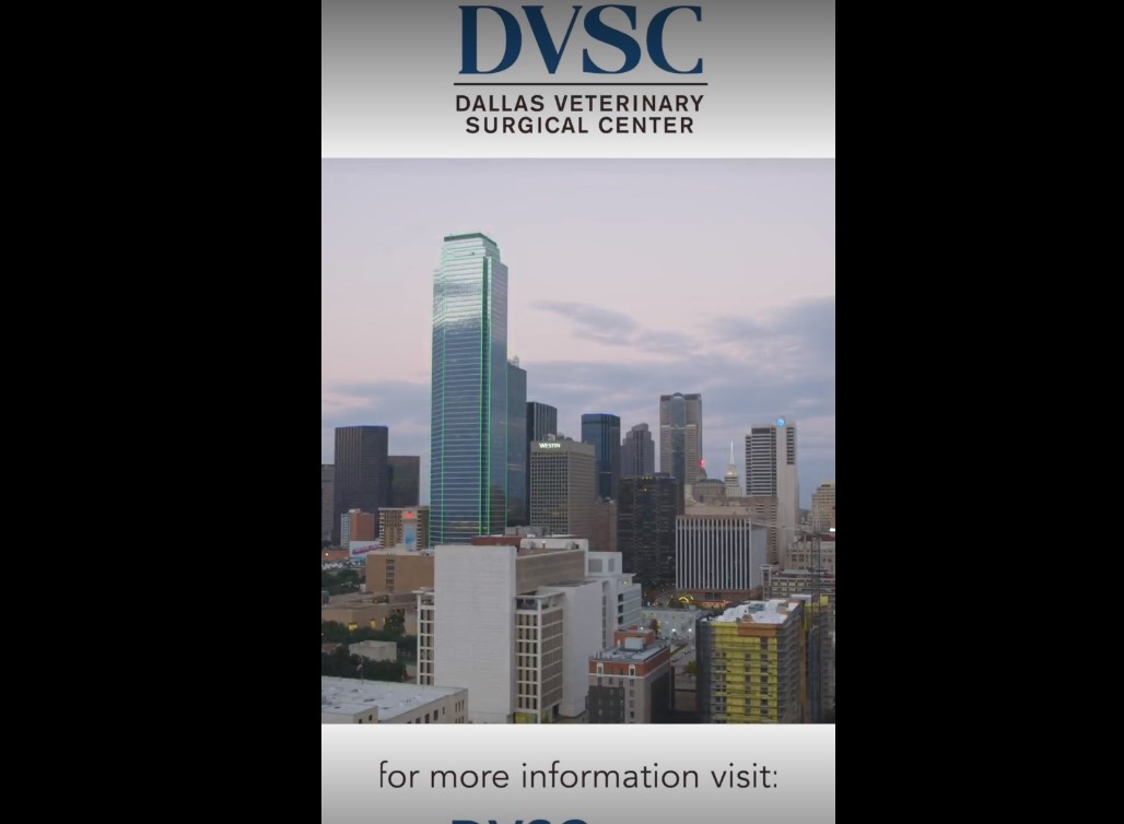 Surgical Externship Program video at DVSC