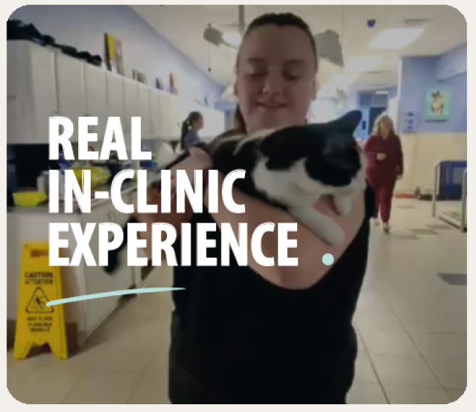 Real In-Clinic Experience