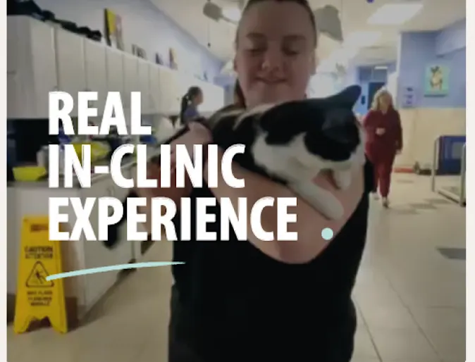 Real In-Clinic Experience Real In-Clinic Experience