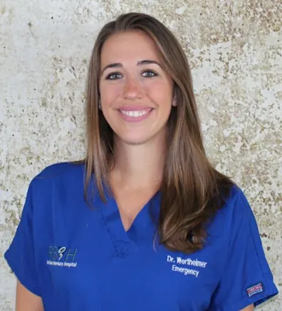 Lauren Wertheimer Lauren Wertheimer