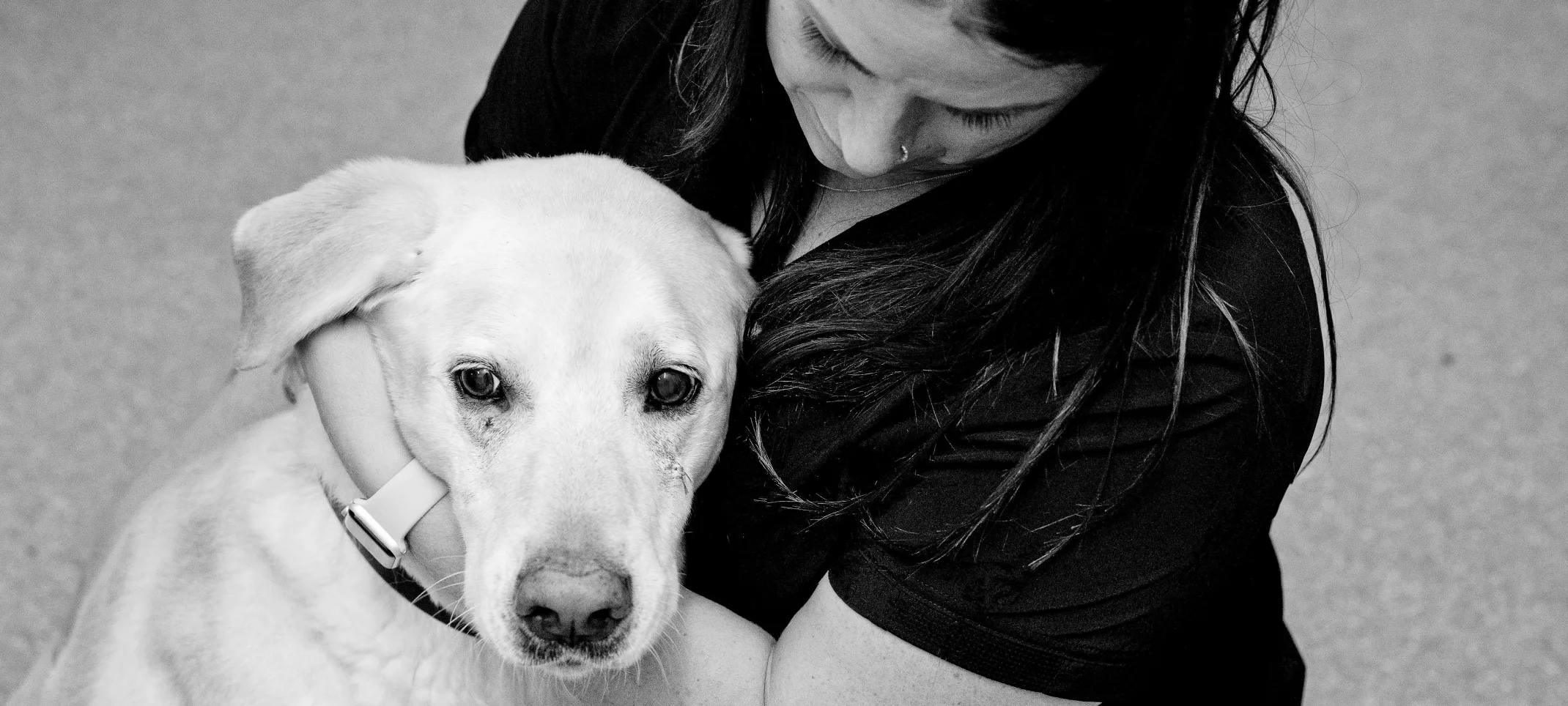 Black and white photo of a dog being comforted