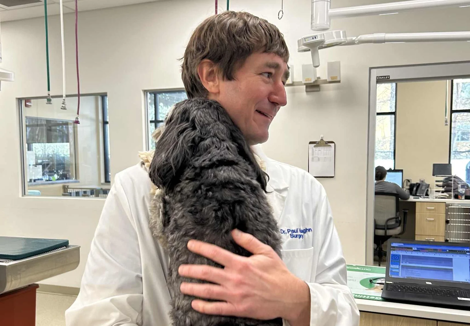 Vet hugging a gray dog. Vet hugging a gray dog.