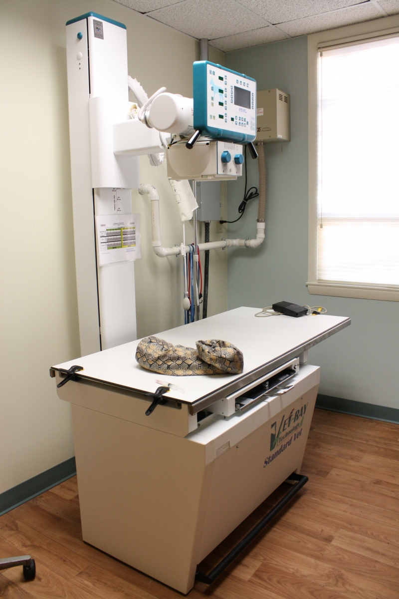 Veterinary equipment used at Northampton Veterinary Clinic