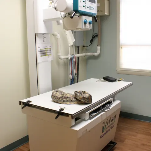 Veterinary equipment used at Northampton Veterinary Clinic