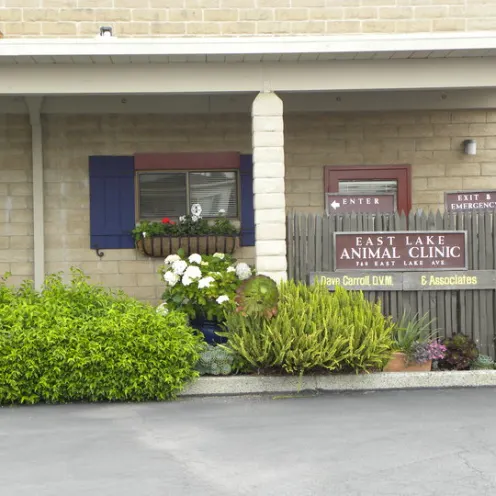 East Lake Animal Clinic's Front Entrance of their building