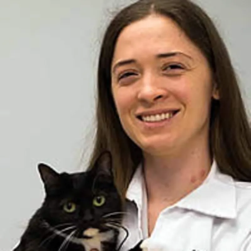 Dr. Croy holding a cat Dr. Croy holding a cat