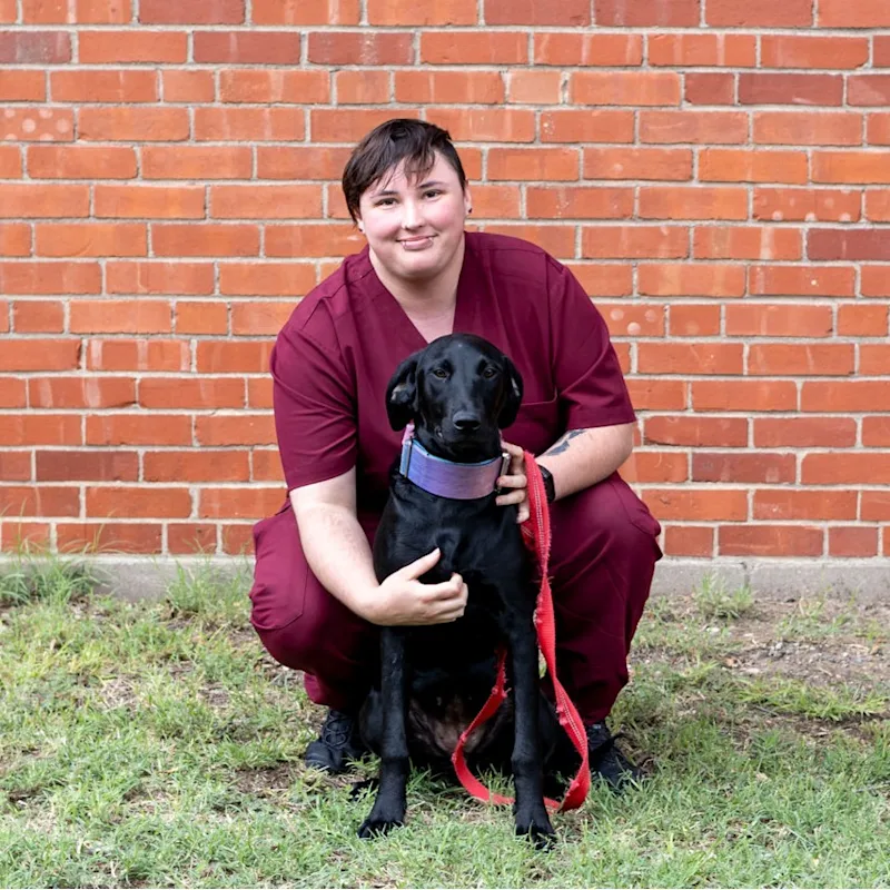 Ryx Torske Ryx Torske