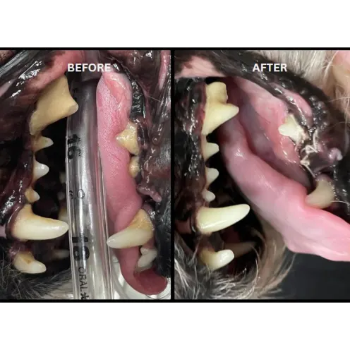 Before and After Oral Surgery
