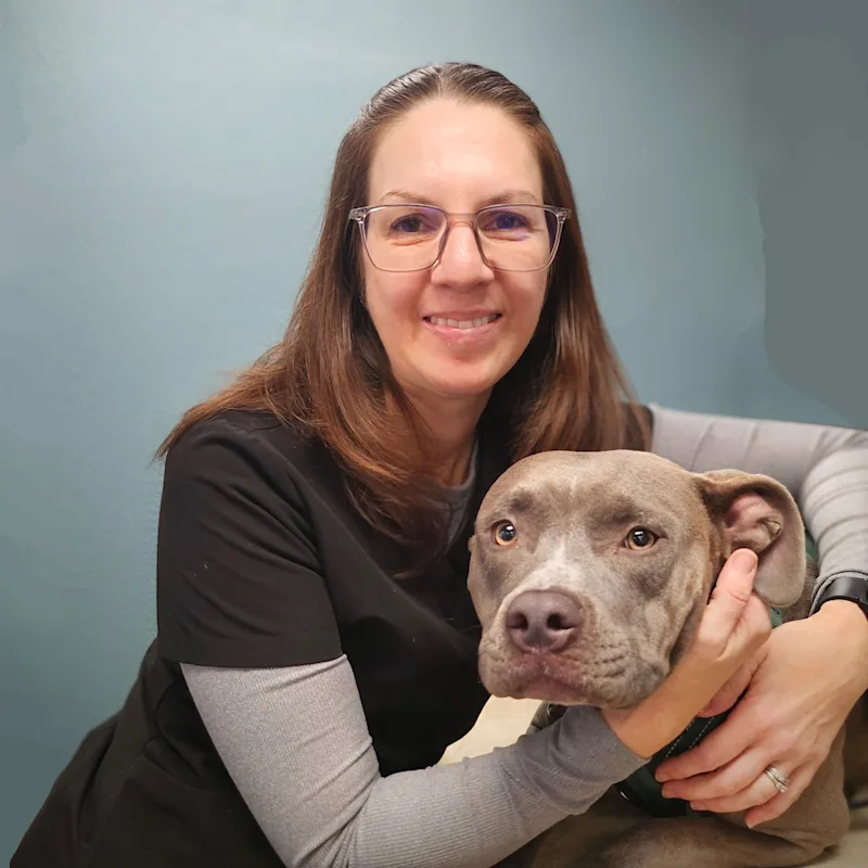 Kriss, a Veterinary Technician at Cheyenne Tonopah Animal Hospital Kriss, a Veterinary Technician at Cheyenne Tonopah Animal Hospital