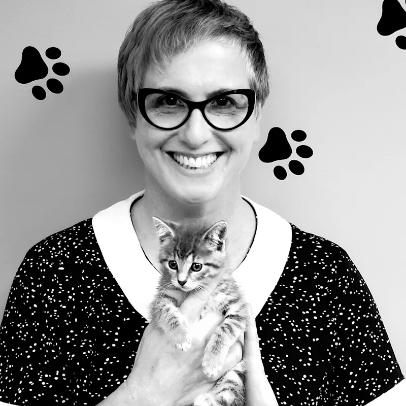Dr. Laura Bellinghausen, Associate Veterinarian at Peotone Animal Hospital Dr. Laura Bellinghausen, Associate Veterinarian at Peotone Animal Hospital