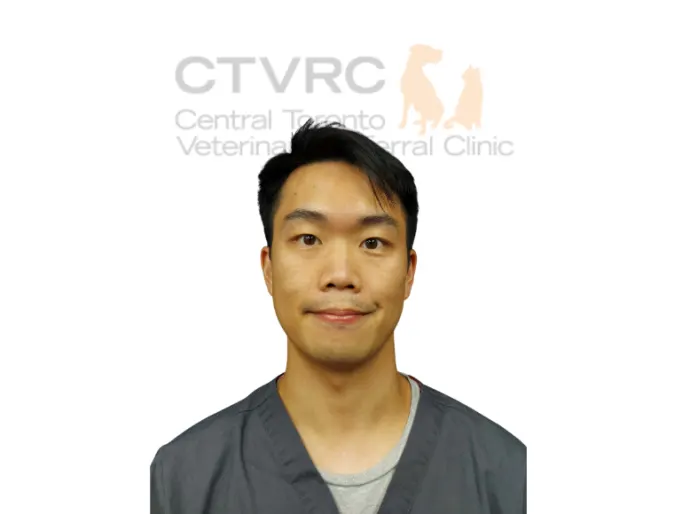 Dr. Andrew Chong headshot