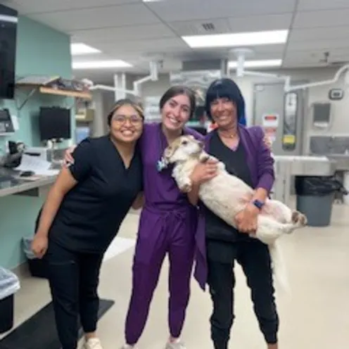 Group Picture Group Picture