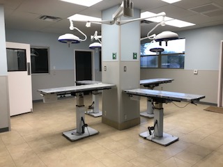 Surgery Suite