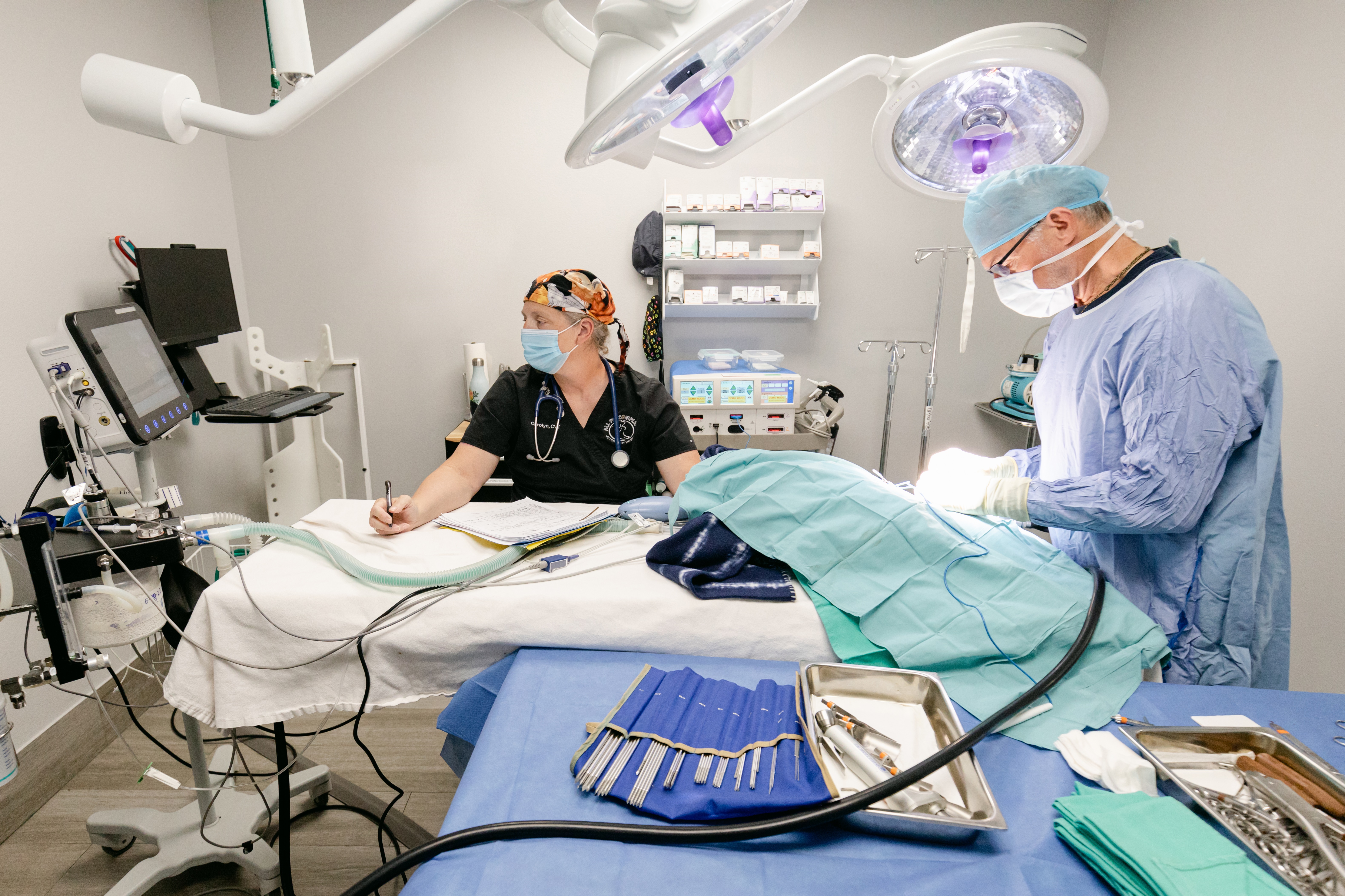 Surgery at All Pet Complex Veterinary Hospital