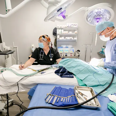 Surgery at All Pet Complex Veterinary Hospital Surgery at All Pet Complex Veterinary Hospital