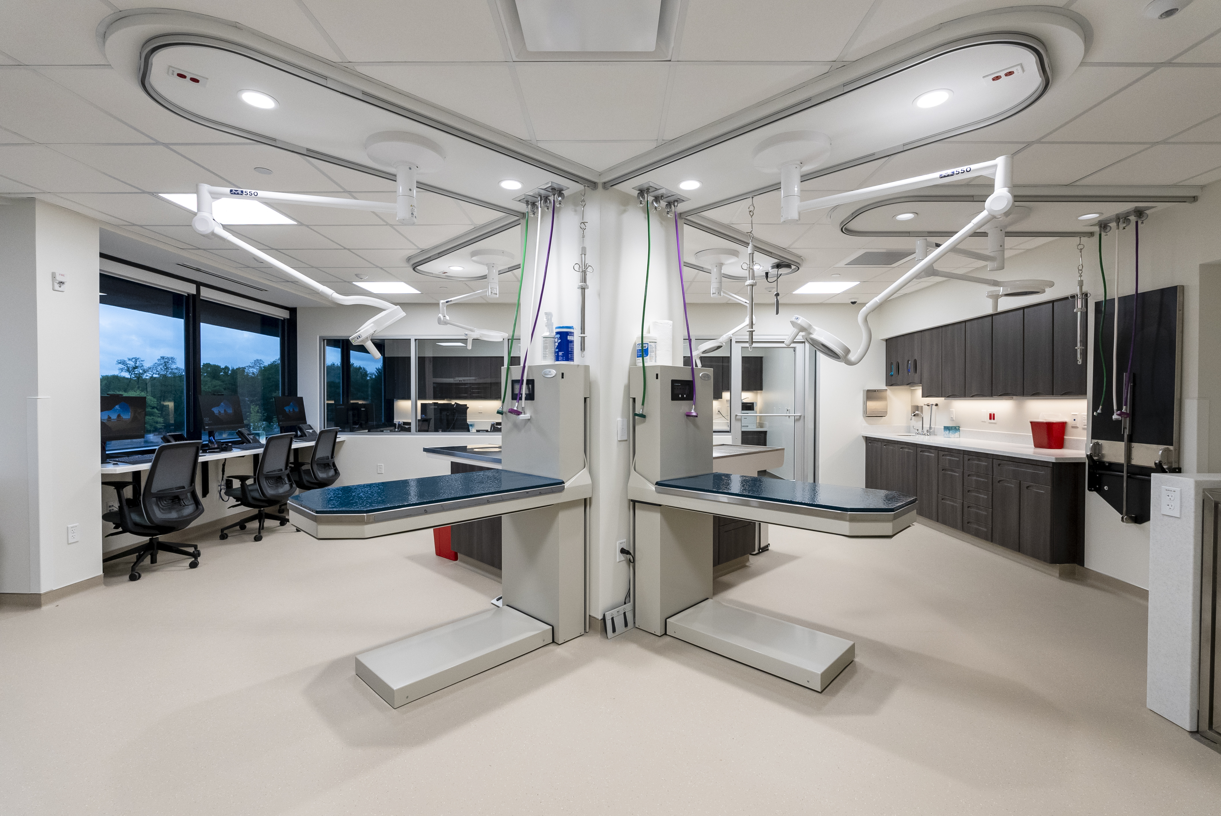 Red Bank Veterinary Hospital Tinton Falls inside building