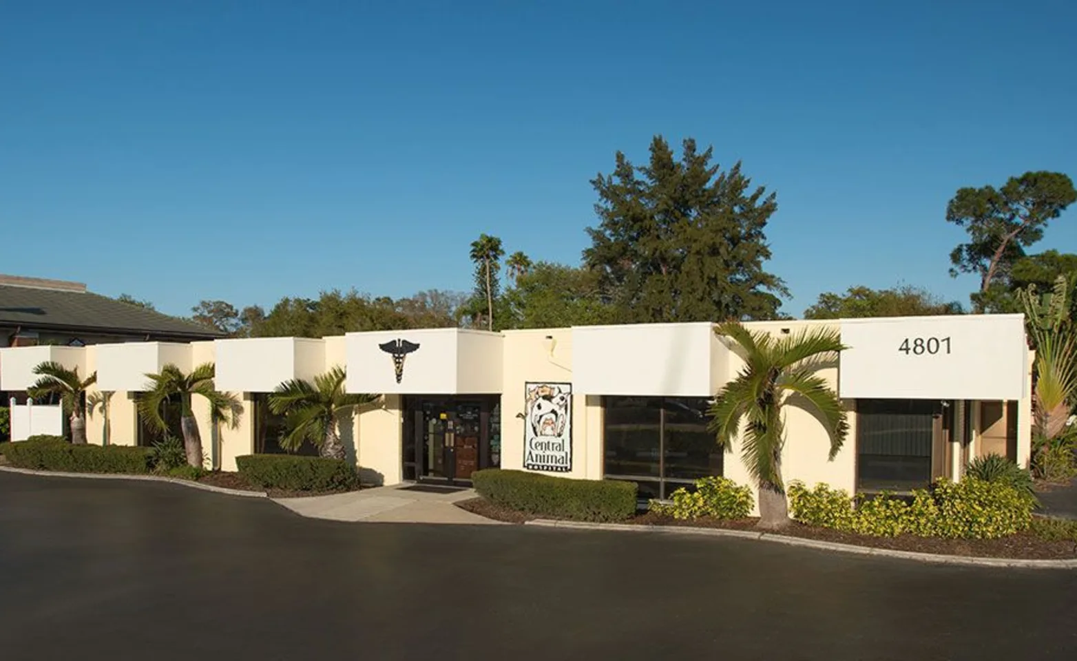 Central Animal Hospital 4TH Street Location Central Animal Hospital 4TH Street Location
