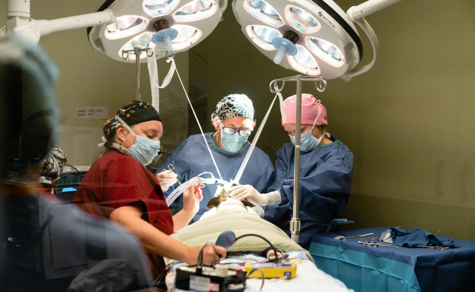 Staff in Surgery