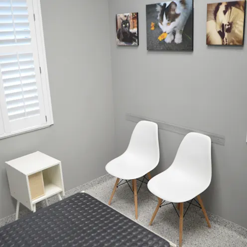 Wellness Center - Cat Room