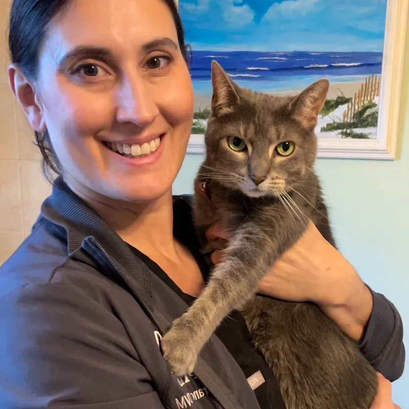 DVM Jessica Francisco smiling with a cat DVM Jessica Francisco smiling with a cat
