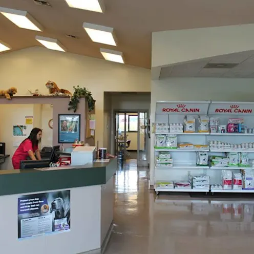 Stateline Hillcrest Small Animal Hospital 0183 - Supplies Stateline Hillcrest Small Animal Hospital 0183 - Supplies