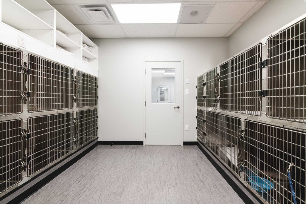 Kennel Room
