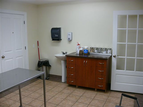 Baccalieu Trail Animal Hospital Consult Room