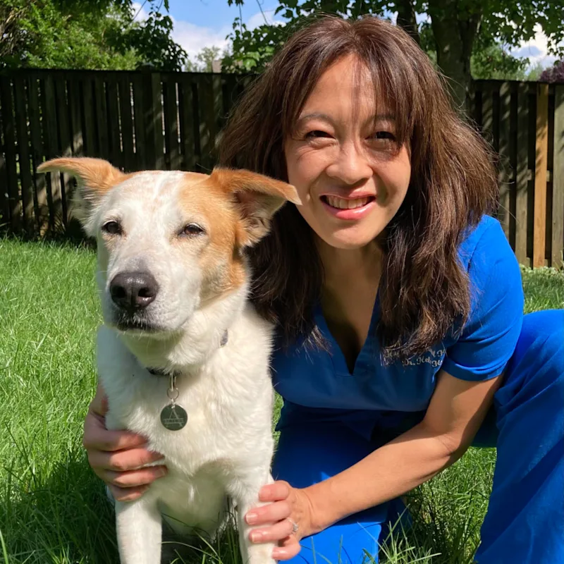 Dr. Helen Hu in front of wooden fence while holding a dog Dr. Helen Hu in front of wooden fence while holding a dog