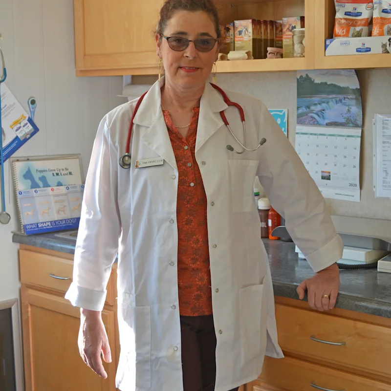 Family Pet Hospital Dr. Pam Cuevas Family Pet Hospital Dr. Pam Cuevas