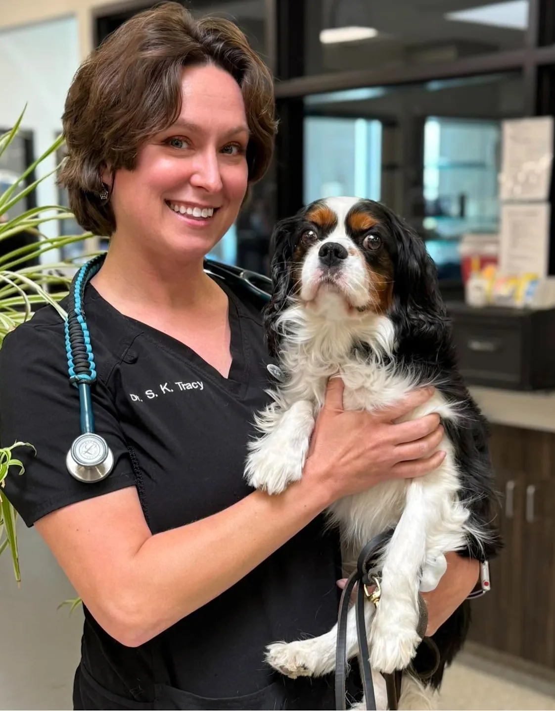 Dr. Kathleen Tracy from Animal Care Center of Plainfield Dr. Kathleen Tracy from Animal Care Center of Plainfield