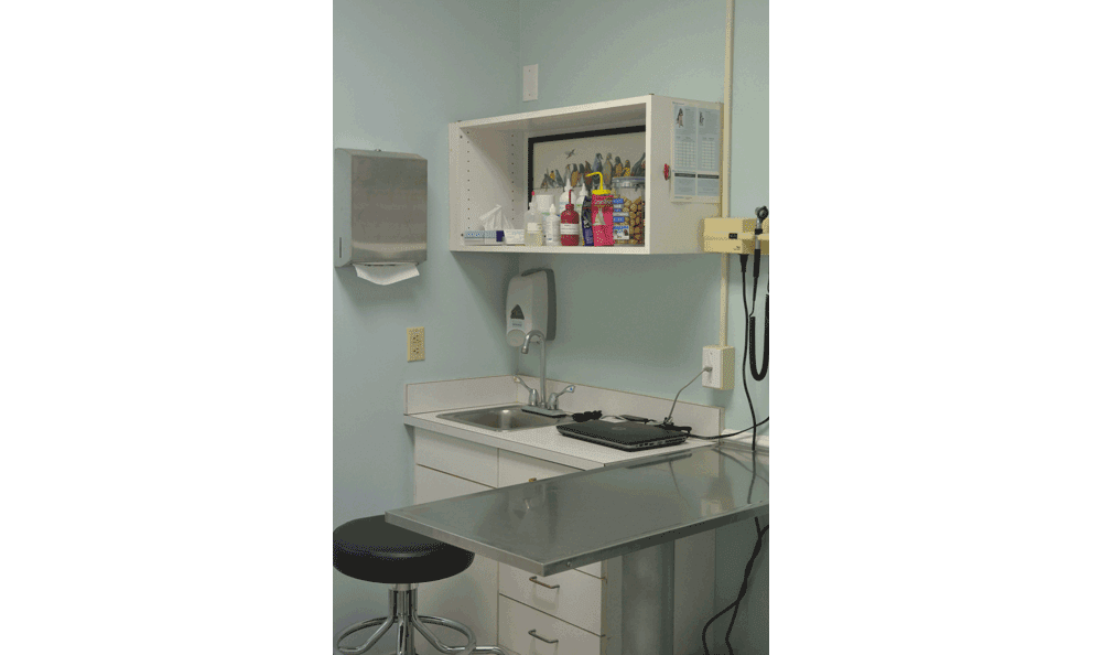 medical supplies and examination table at Hidden Valley Animal Hospital