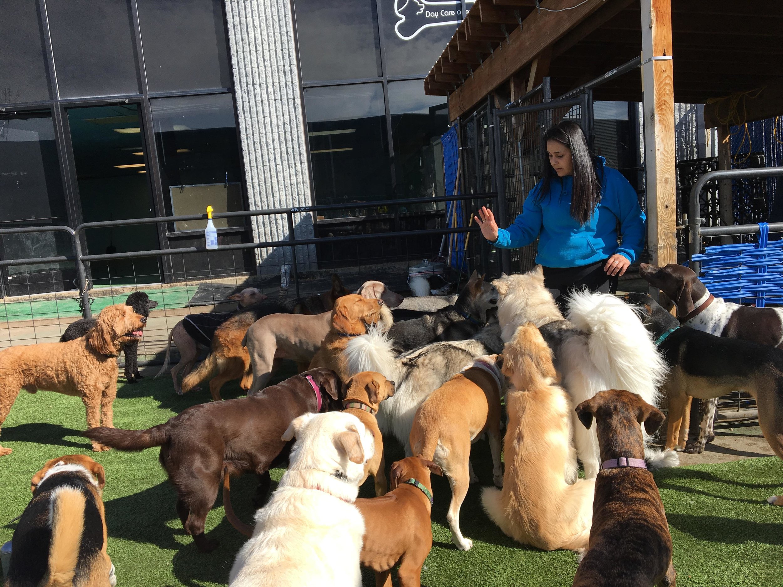 Bowhaus (Boulder) Group Photo