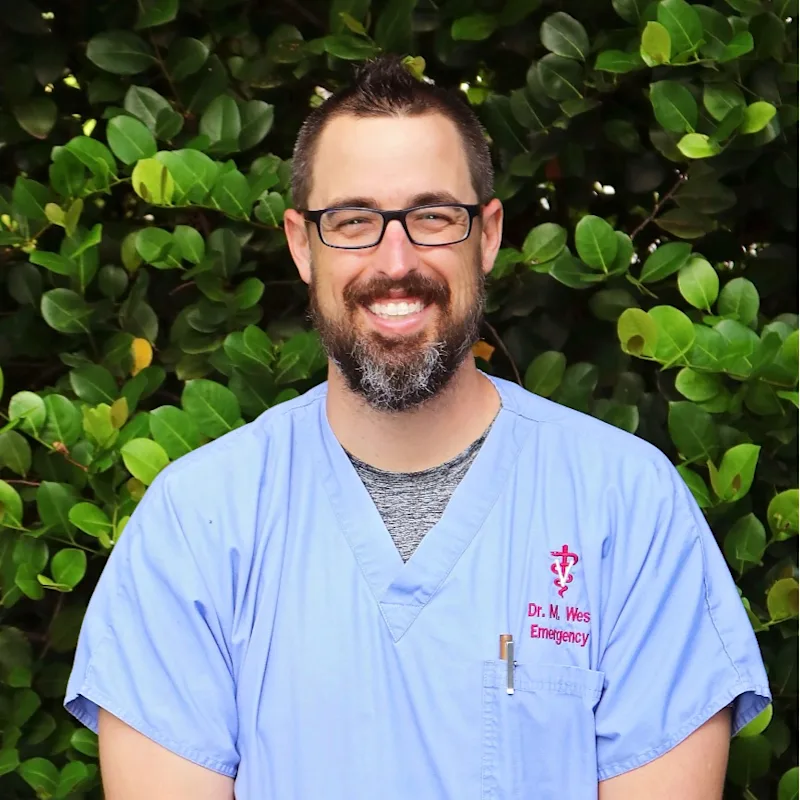 A puppy hiding on Dr. Michael West jacket A puppy hiding on Dr. Michael West jacket