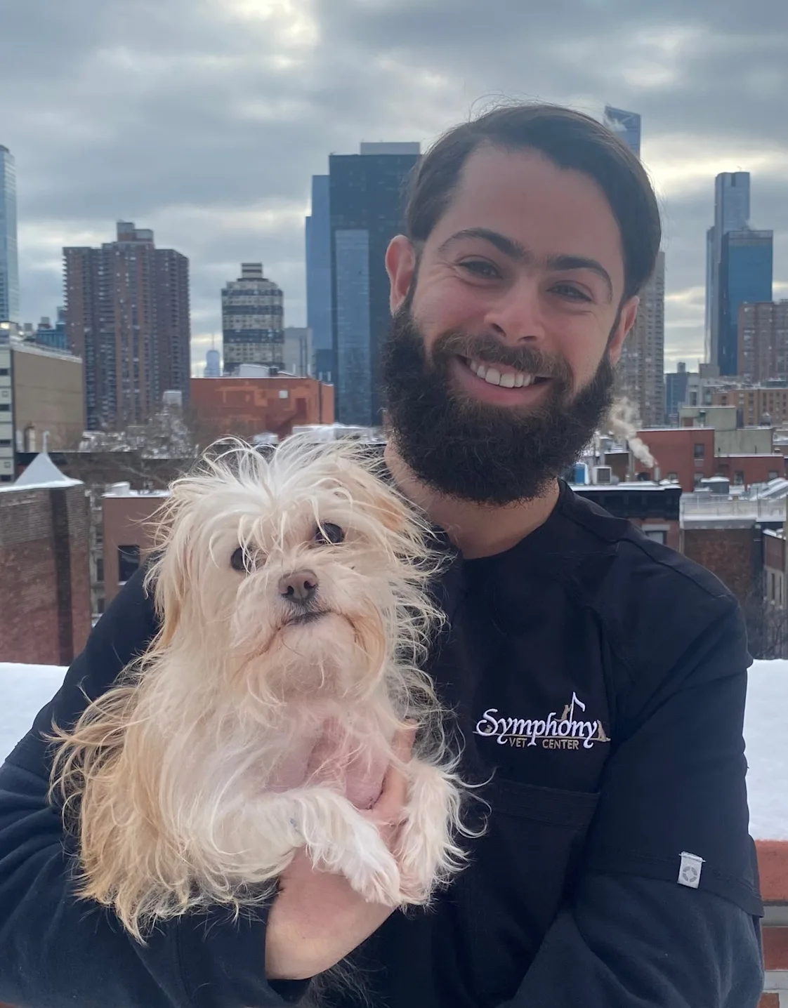 Dr. Jay Sheintop Dr. Jay Sheintop