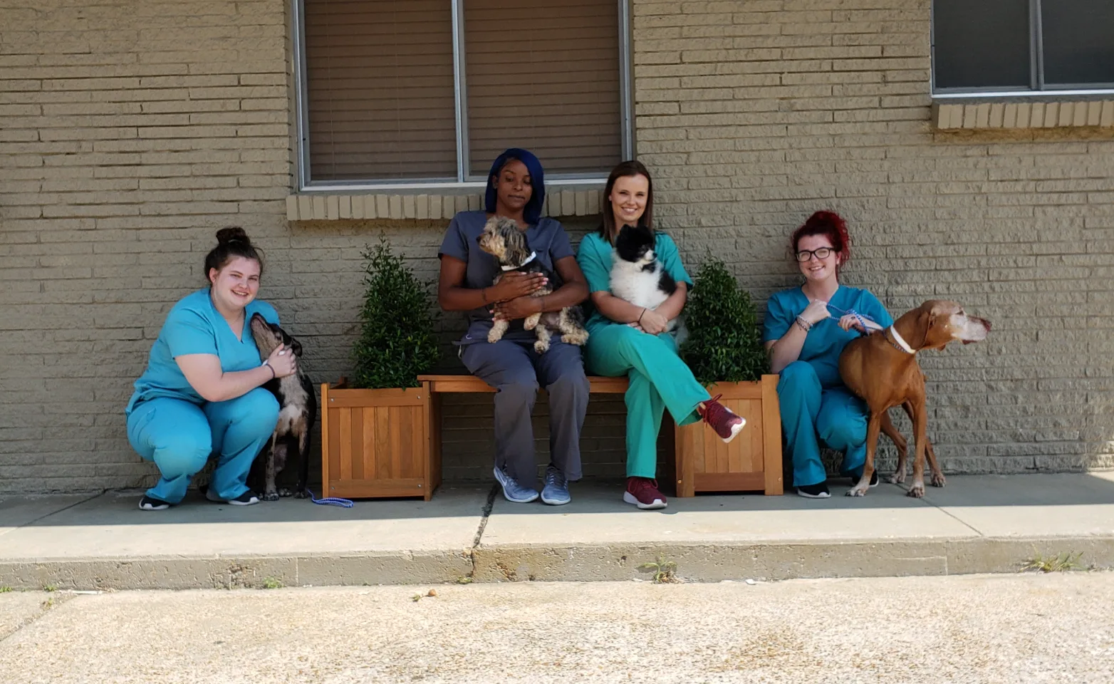 North State Animal & Bird Hospital - Staff Posing For Picture Outside of Hospital