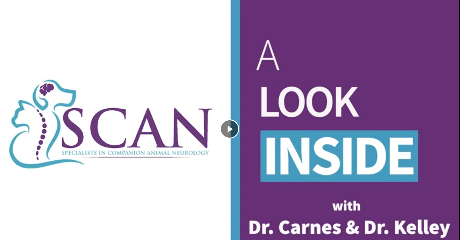 Join us to take a look inside our Naples, FL office