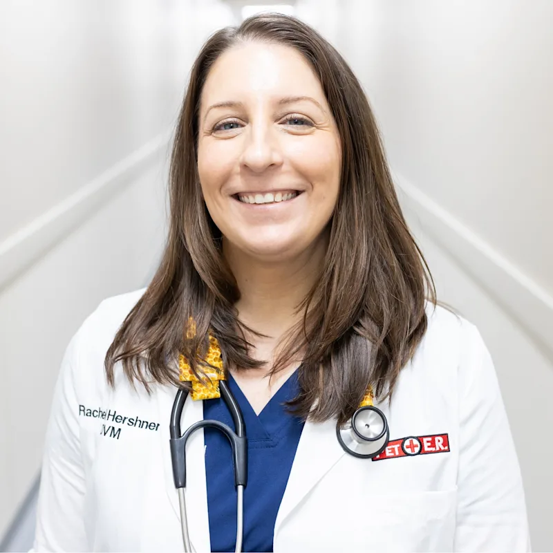 Rachel Hershner Rachel Hershner